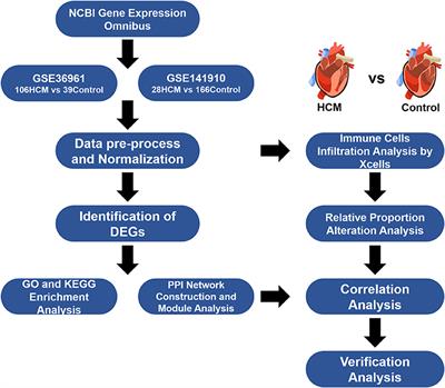 Bioinformatics and Immune Infiltration Analyses Reveal the Key Pathway and Immune Cells in the Pathogenesis of Hypertrophic Cardiomyopathy